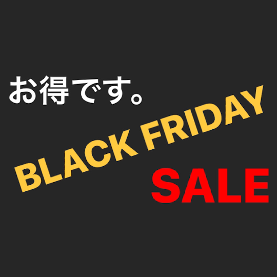 【BLACK FRIDAY SALE】
