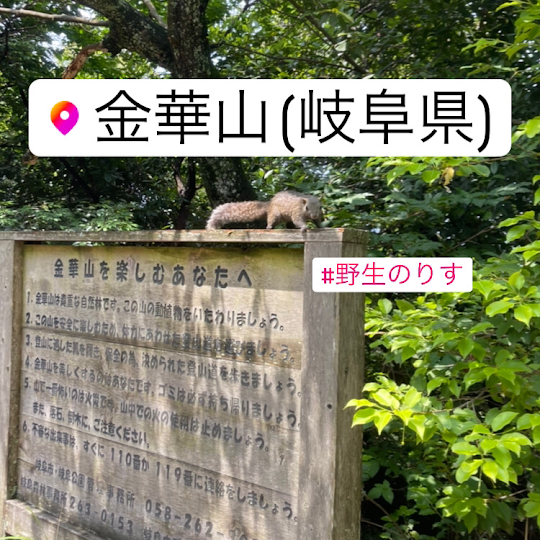 【登山】
