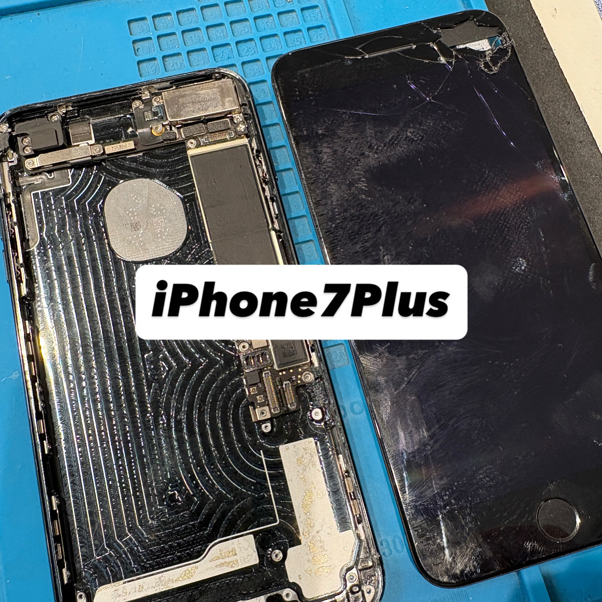 【本日の修理】iPhone7Plus 画面もバッテリーもドックも！