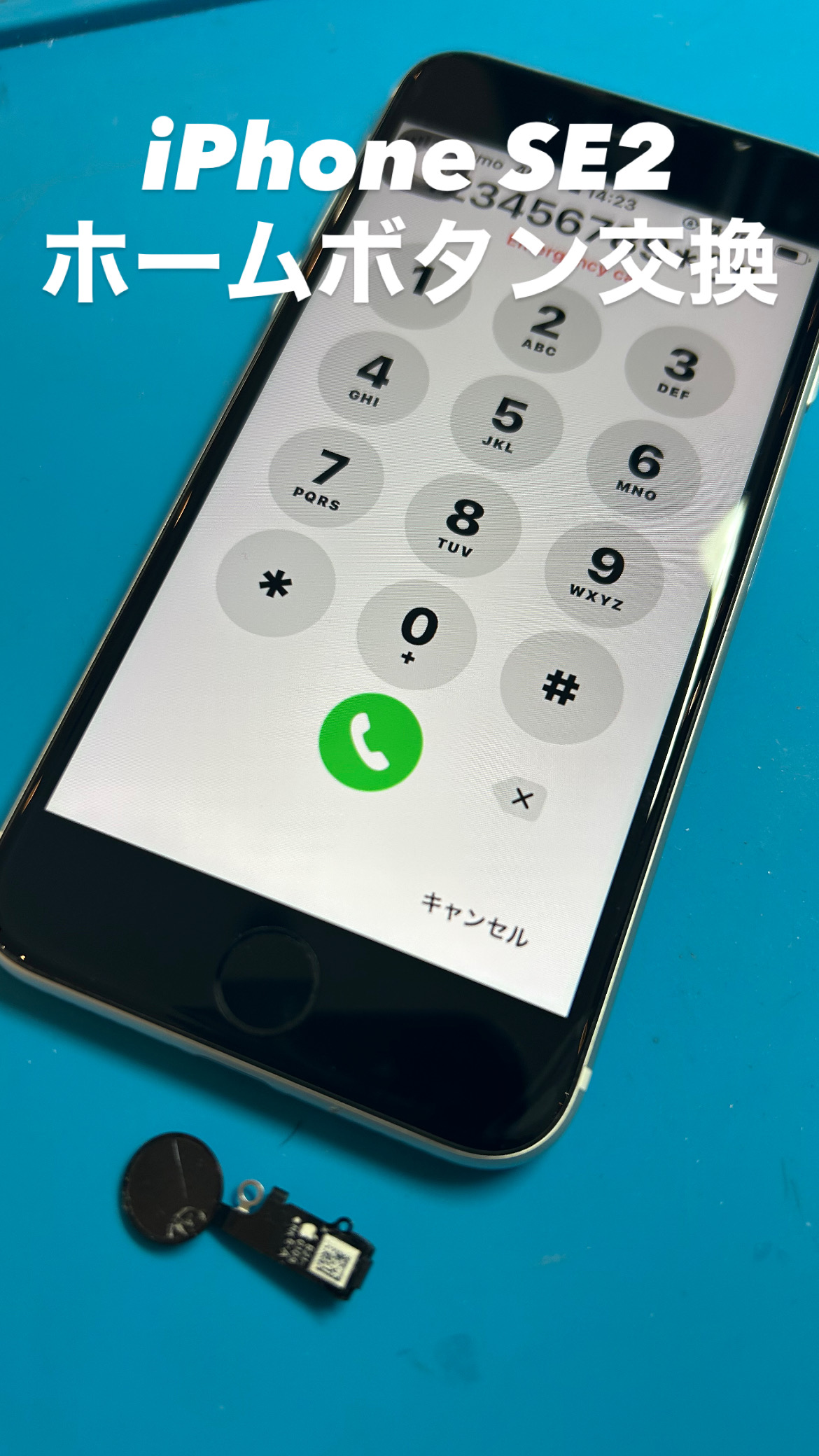 【本日の修理】iPhone SE2 ホームボタン交換