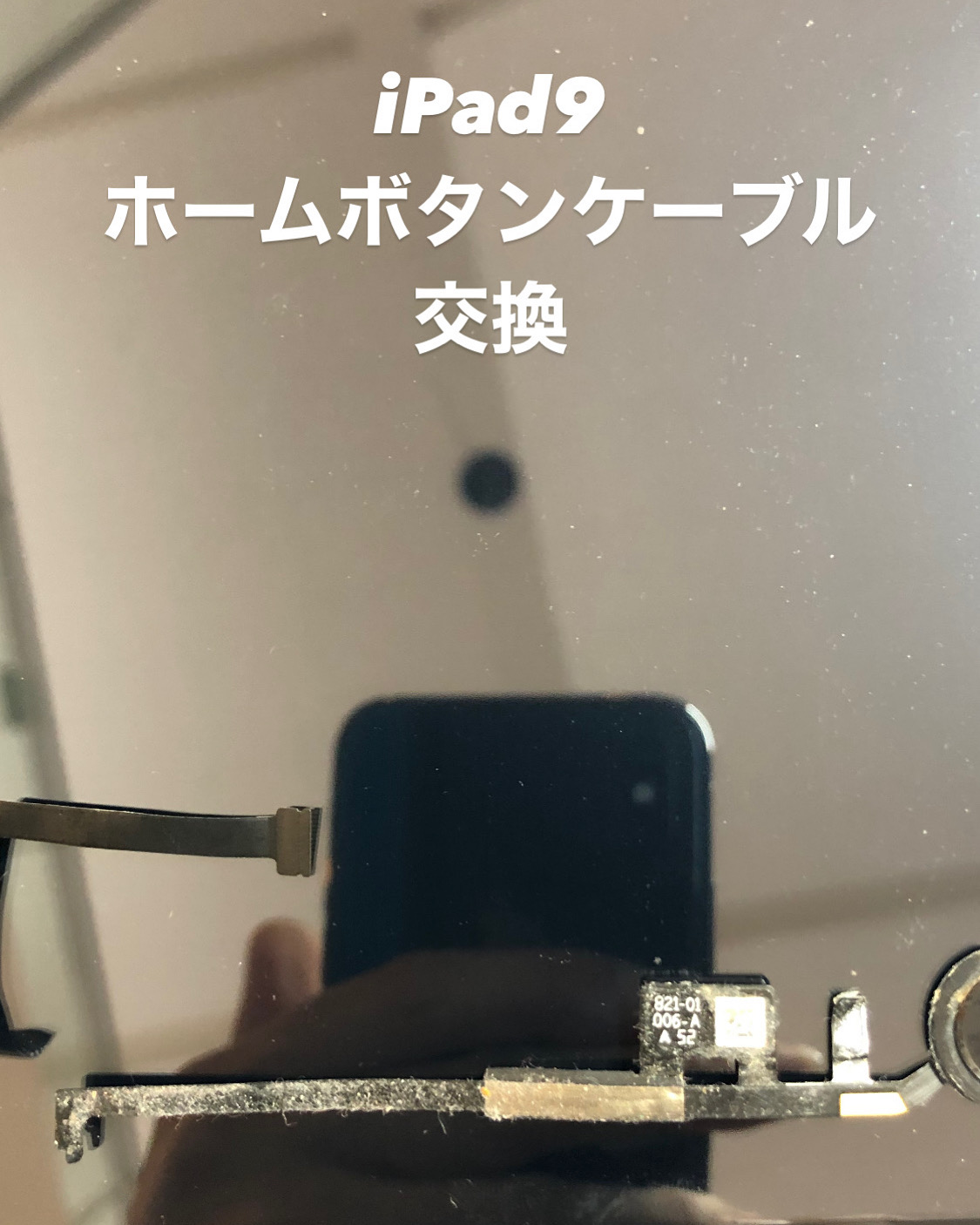【本日の修理】iPad9 ホームボタン修理