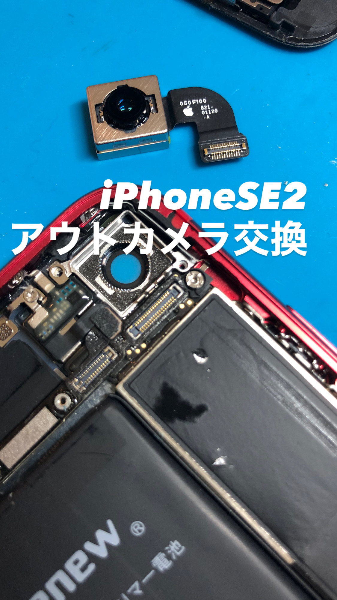 【本日の修理】iPhone SE2カメラ交換