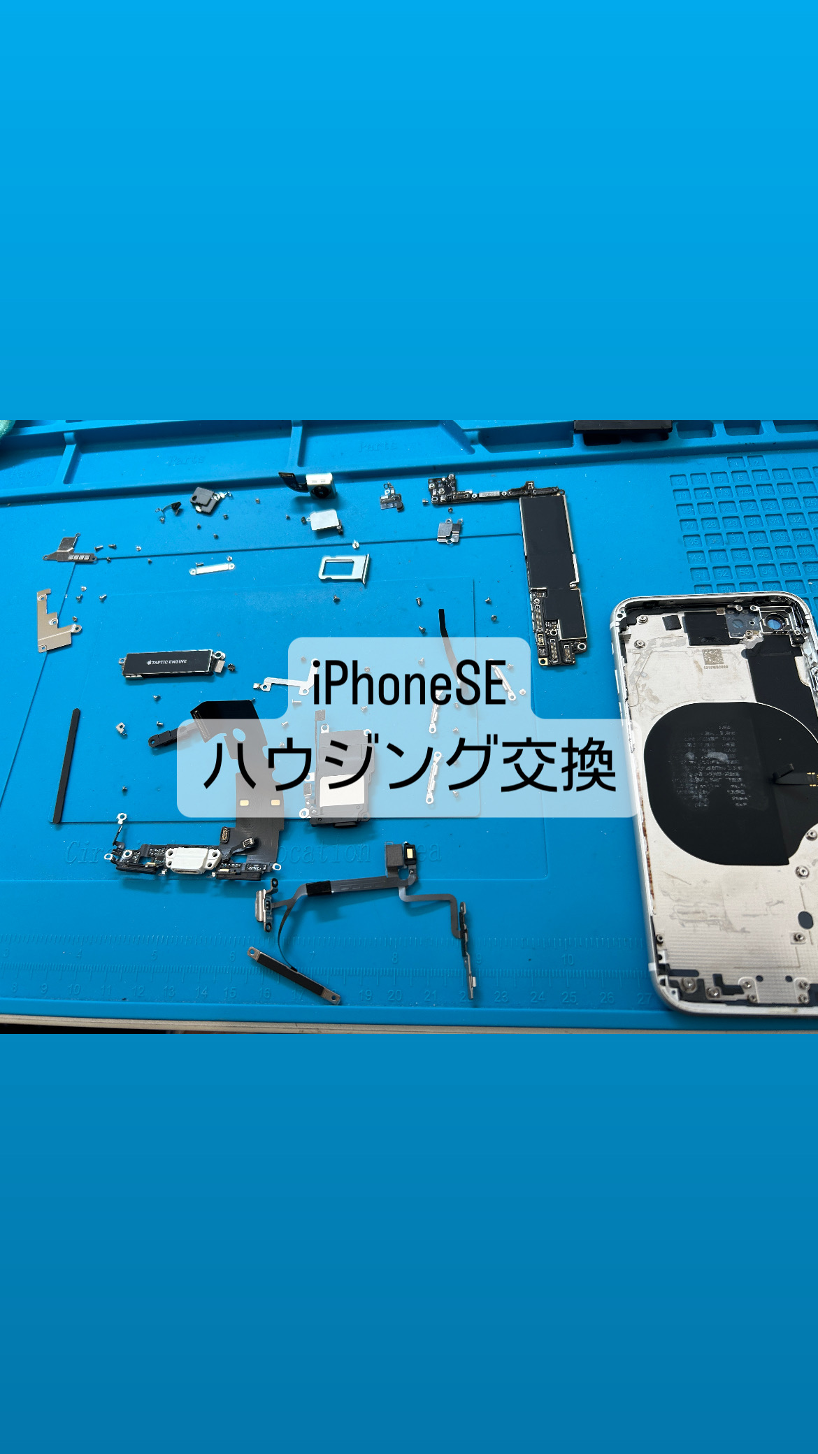【本日の修理】iPhone SE 背面ガラス修理！