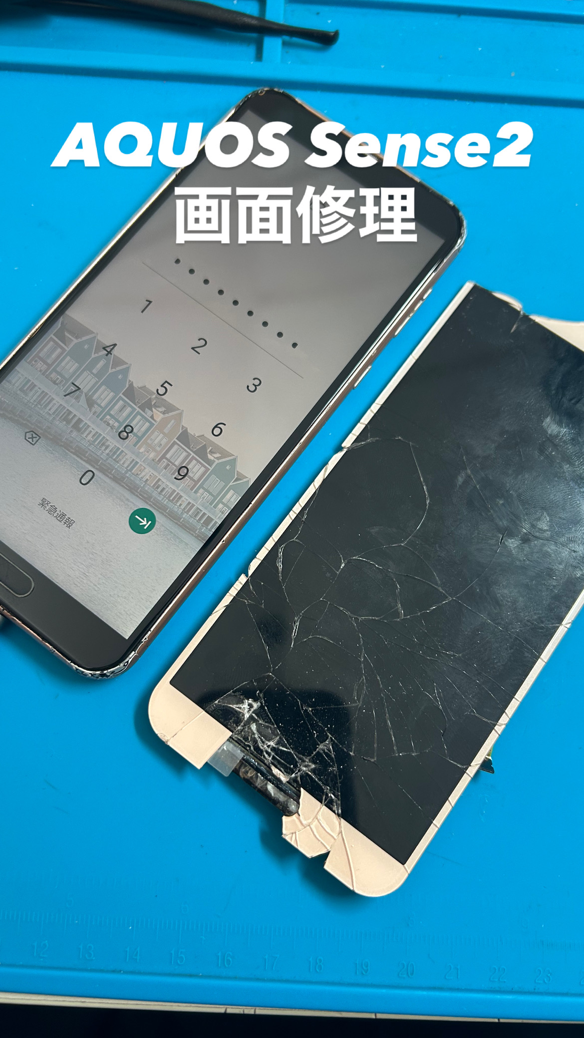 【本日の修理】AQUOS Sense2画面修理