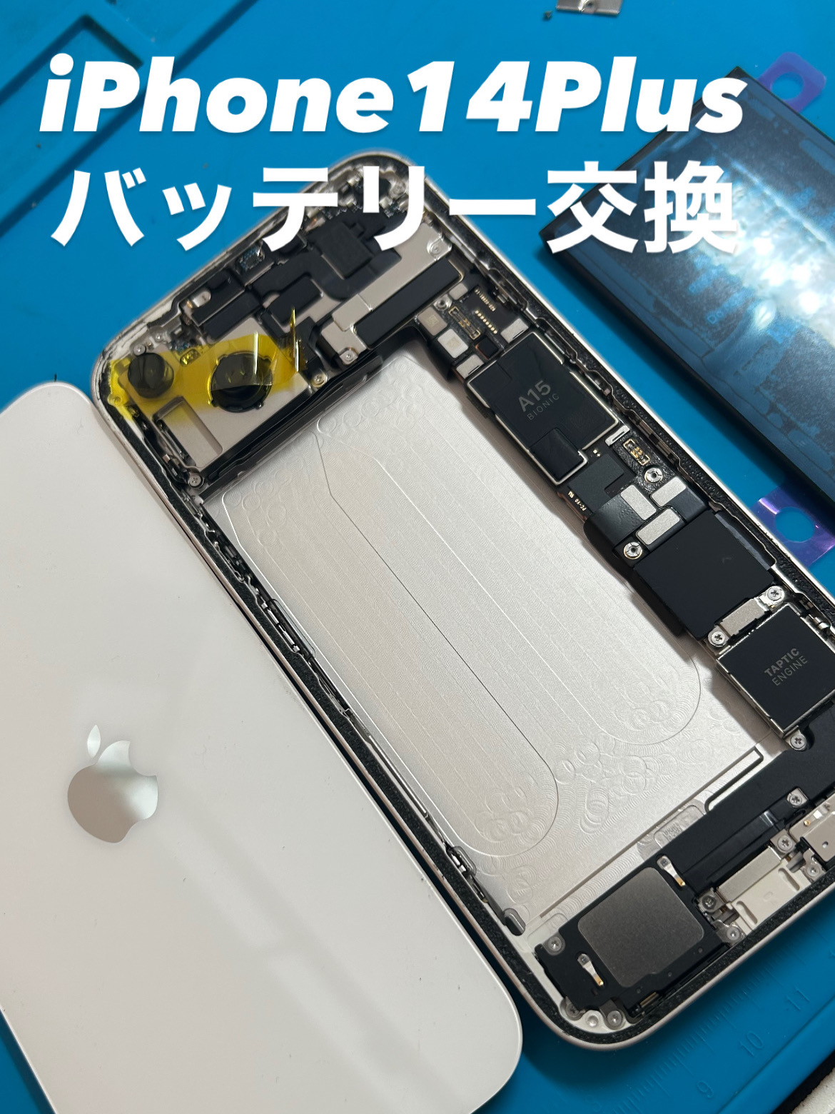 【本日の修理】iPhone14Plusバッテリー交換