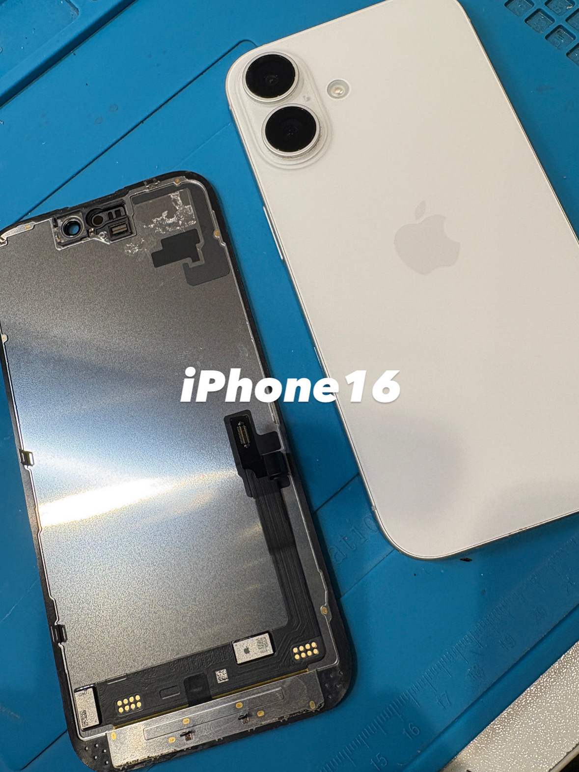 【本日の修理】iPhone16 画面が映らない！