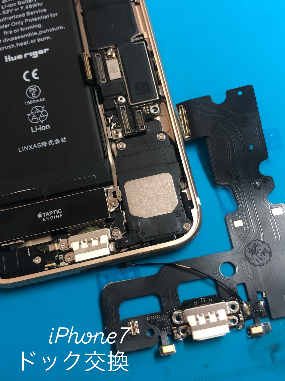 【本日の修理】iPhone7 ドック交換