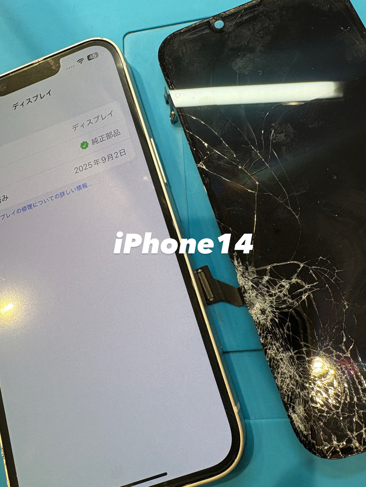 【本日の修理】iPhone14 純正画面修理！！