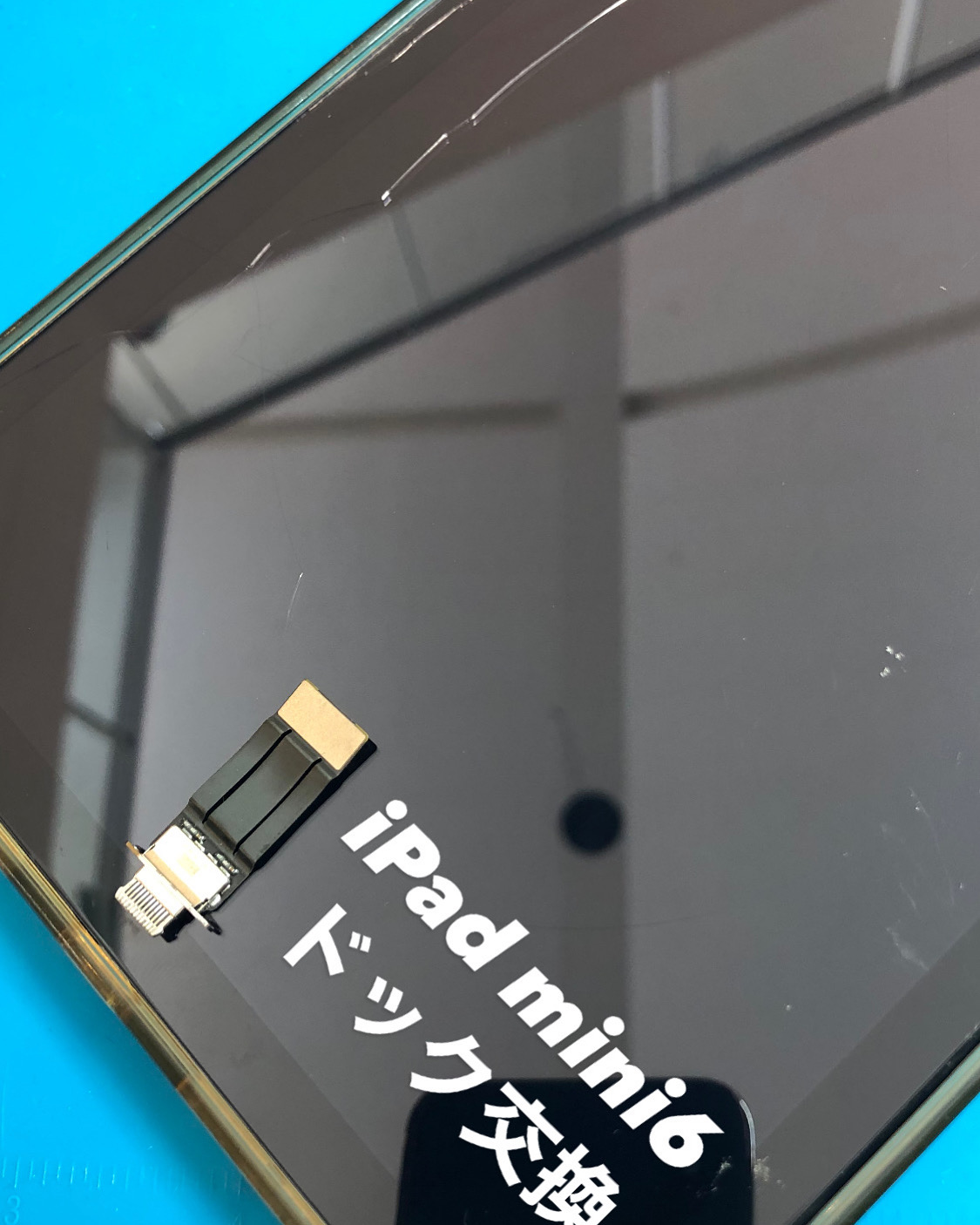 【本日の修理】iPad mini6 ドック交換