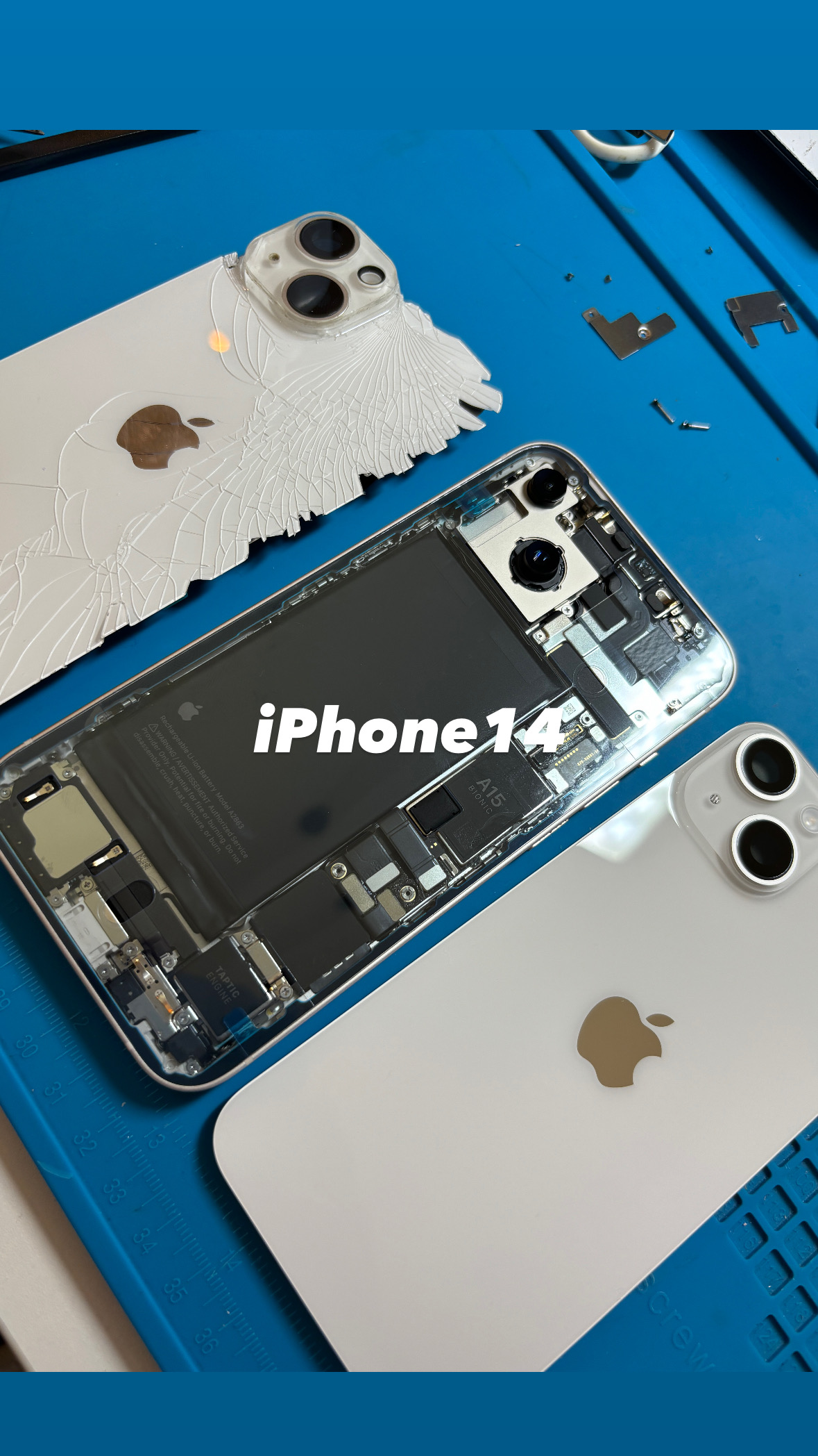 【本日の修理】iPhone14背面ガラスが割れちゃった！