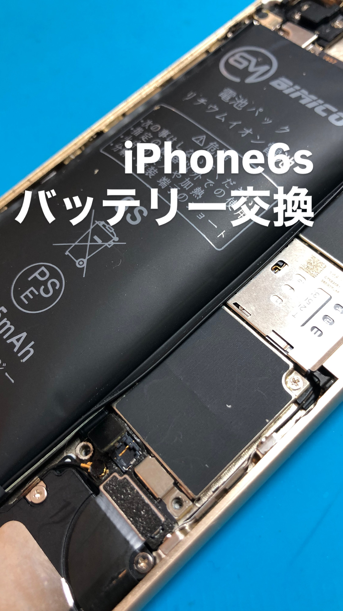 【本日の修理】iPhone6s膨張バッテリー交換