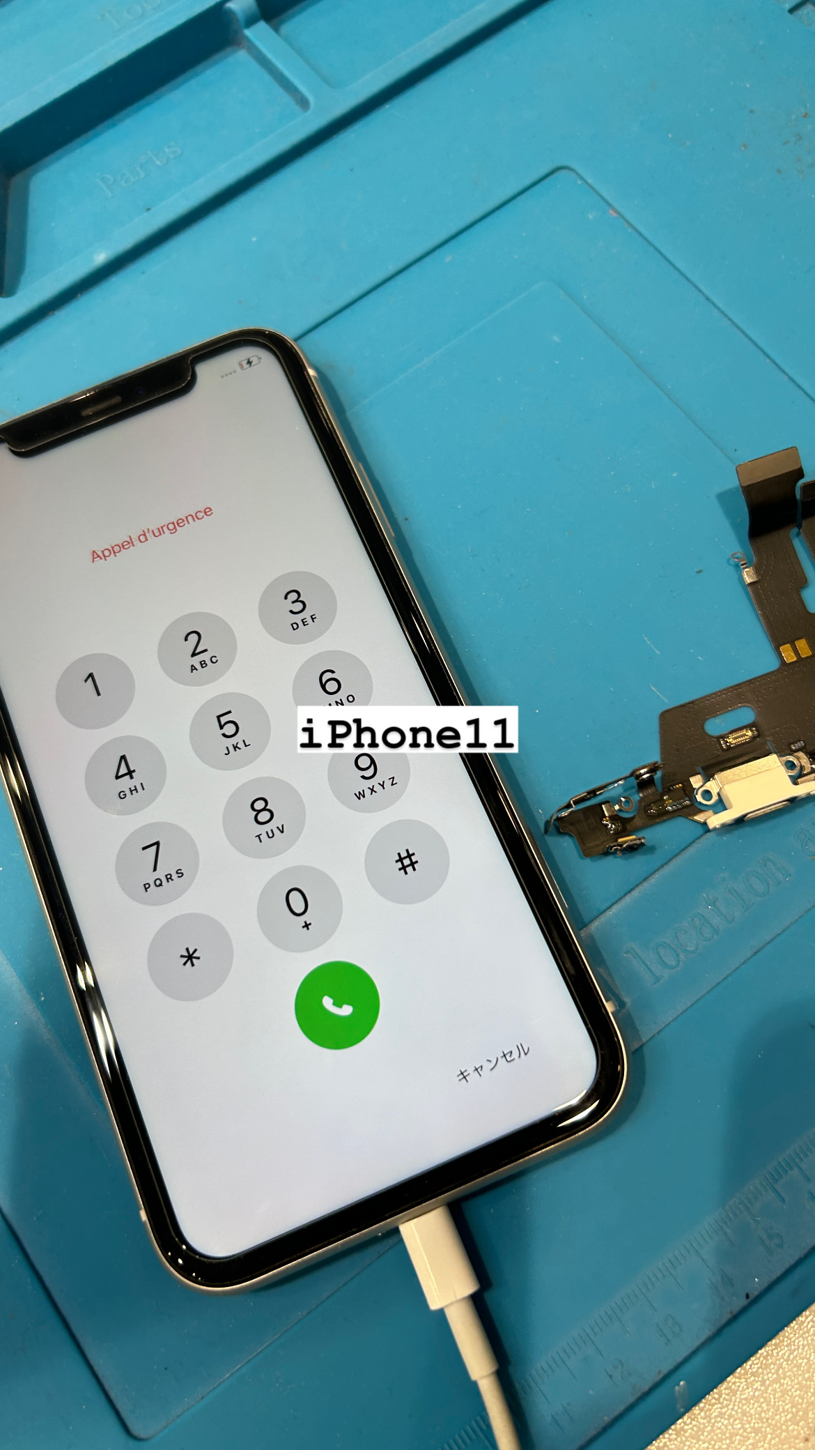 【本日の修理】iPhone 11 ドック交換！