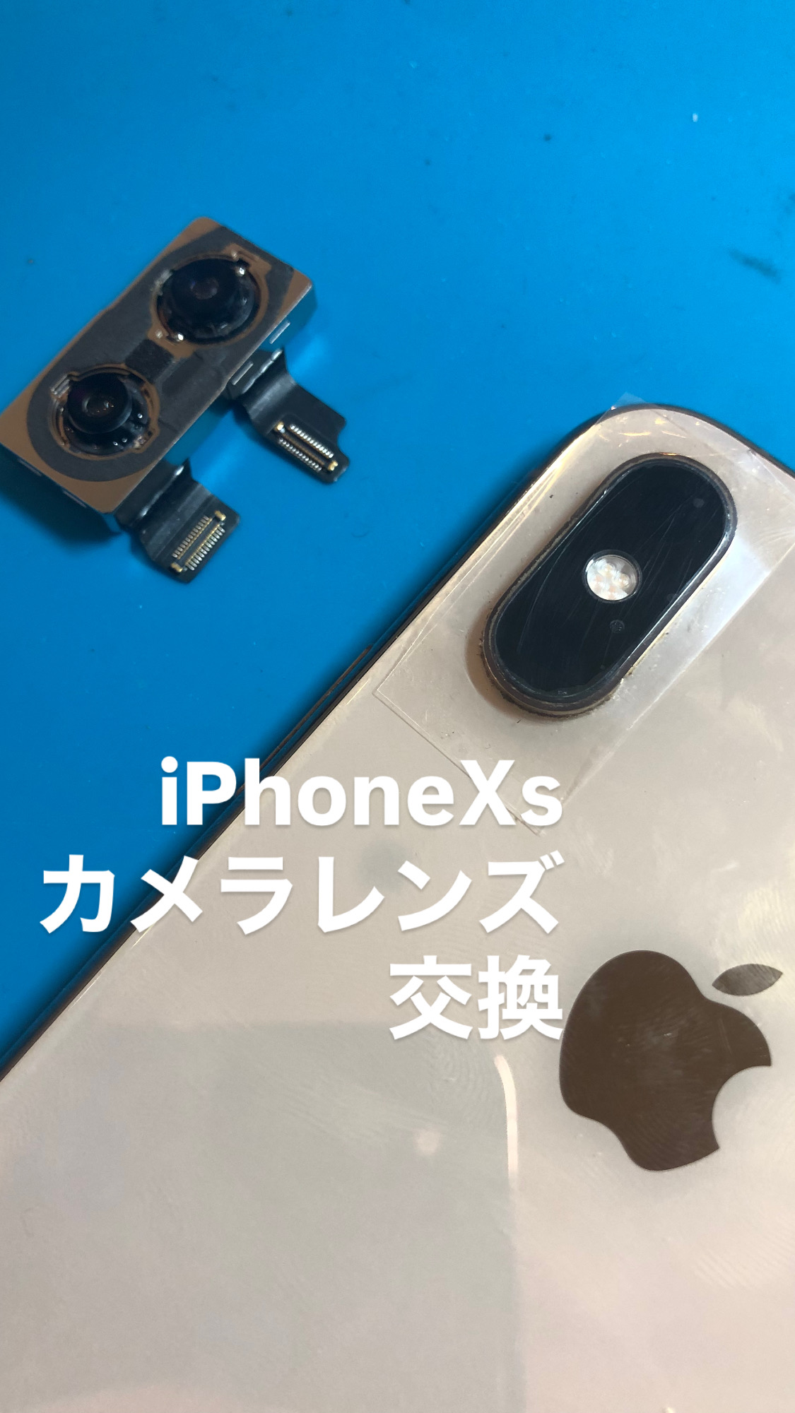 【本日の修理】iPhoneⅩsカメラレンズ交換