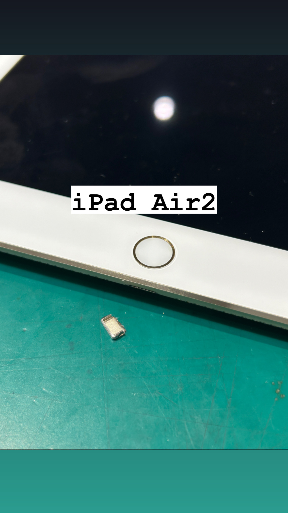 【本日の修理】iPad Air2 ライトニング端子折れちゃった