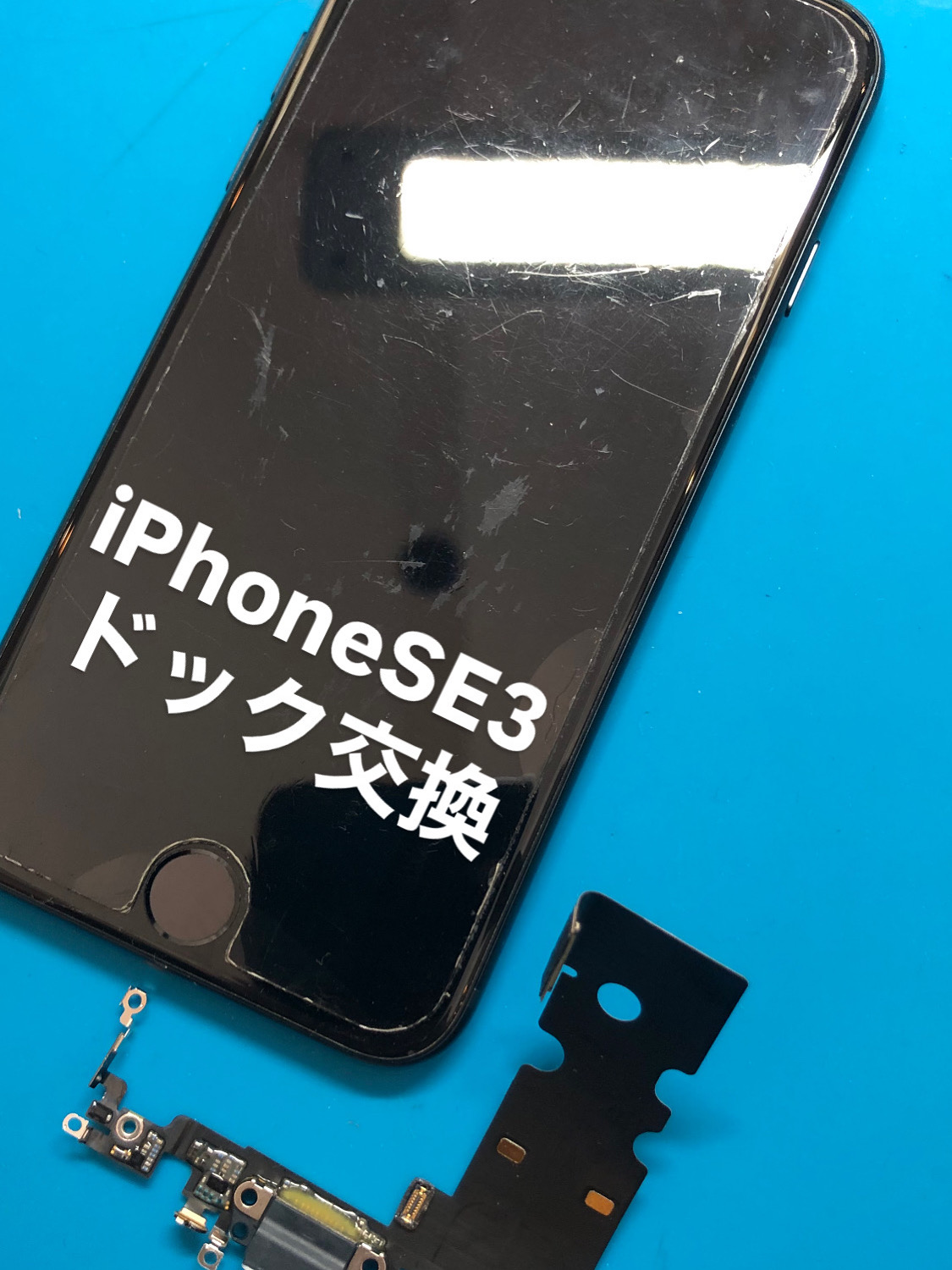 【本日の修理】iPhone SE3　ドック交換