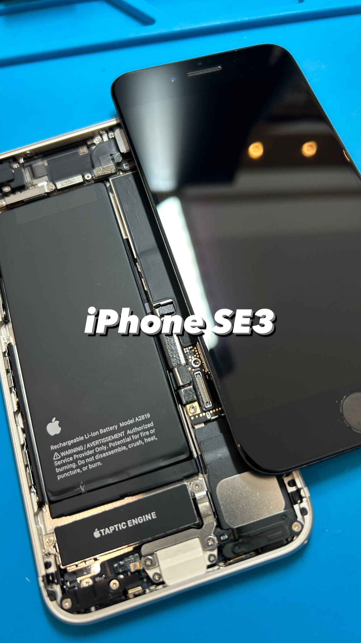 【本日の修理】iPhone SE3 画面交換！