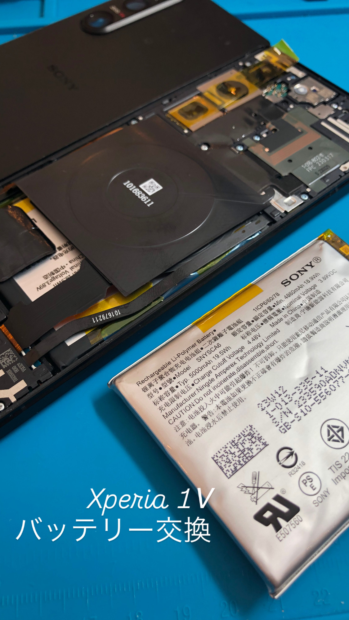 【本日の修理】Xperia1Ⅴ 膨張バッテリー交換